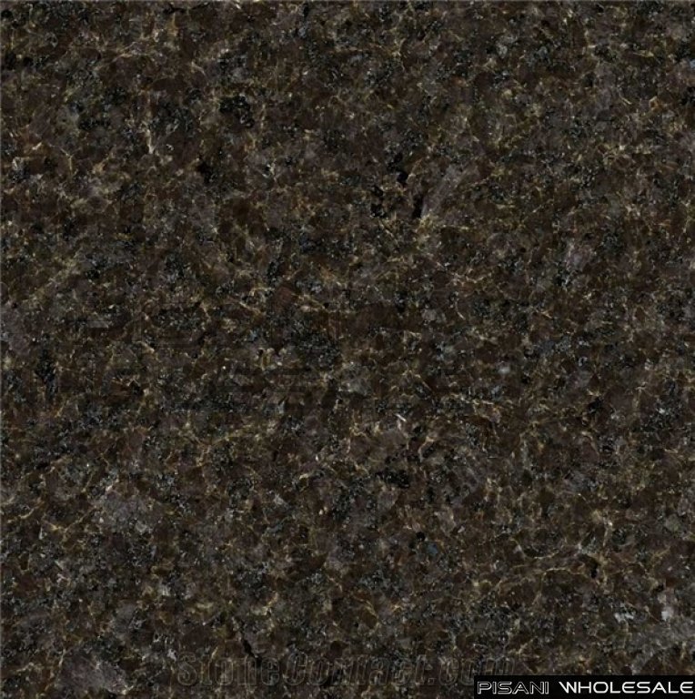 Indian Black Pearl