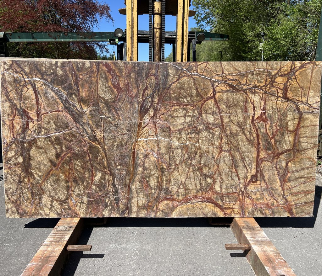 Rainforest Brown